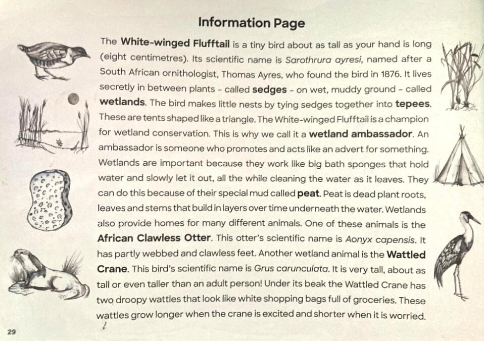 Information page